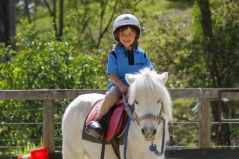 a person riding a horse