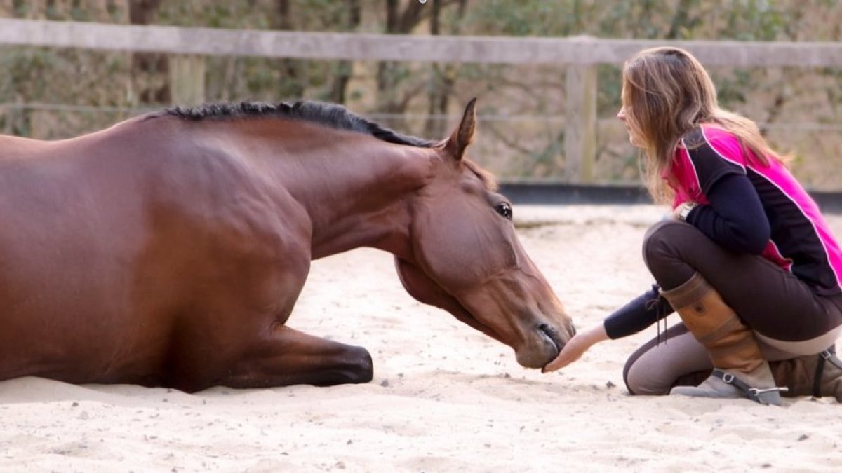 a woman sitting on a horse