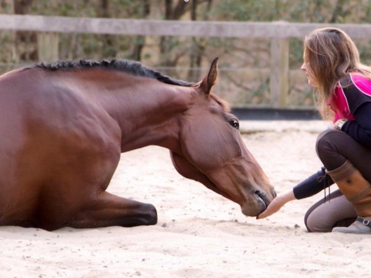 a woman sitting on a horse