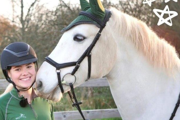 a person standing in front of a horse