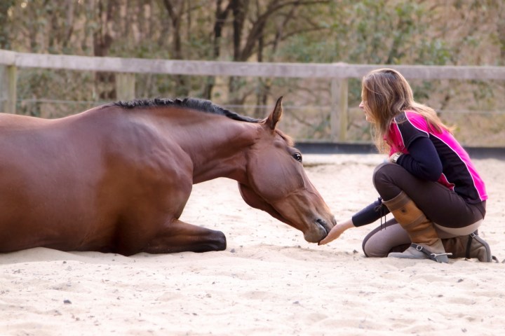 a person sitting on a horse